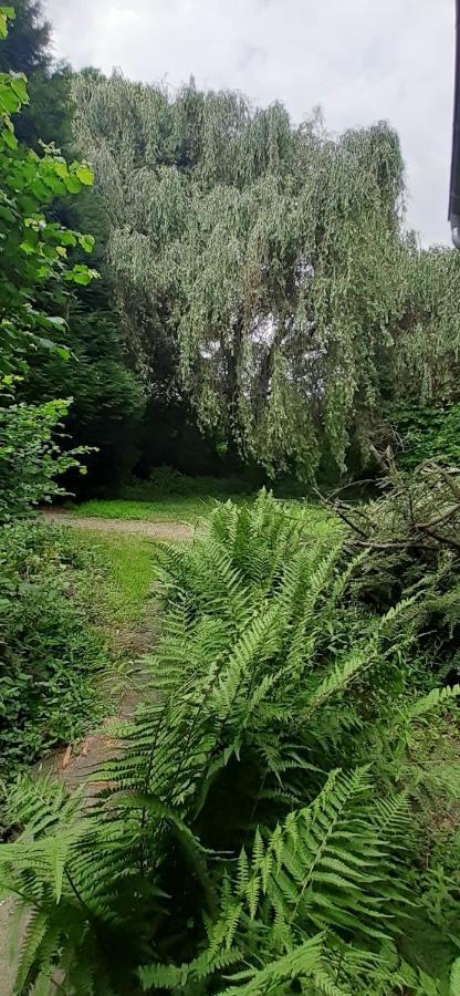 شقة Fewo Im Naturschutzgebiet Hiddenhausen المظهر الخارجي الصورة